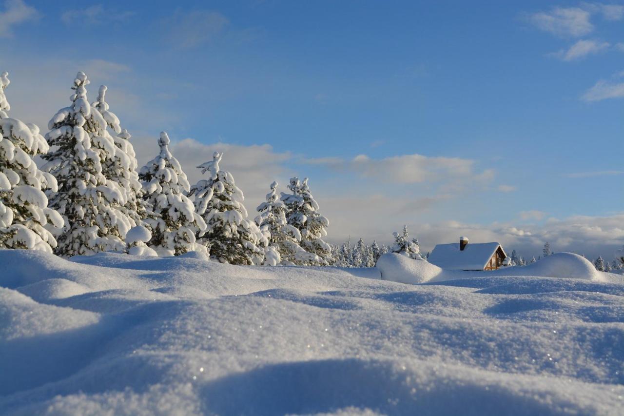 Bed and Breakfast Gaesthus Nornaes Esterno foto
