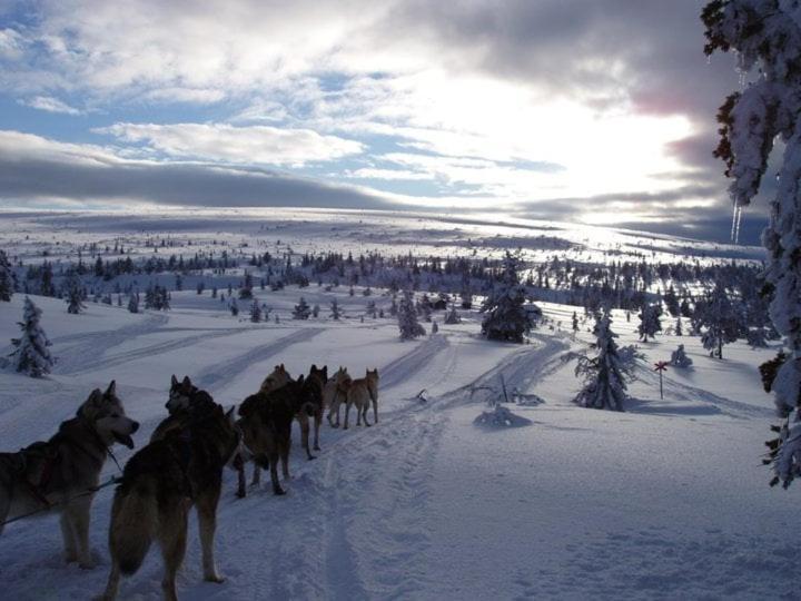 Bed and Breakfast Gaesthus Nornaes Esterno foto